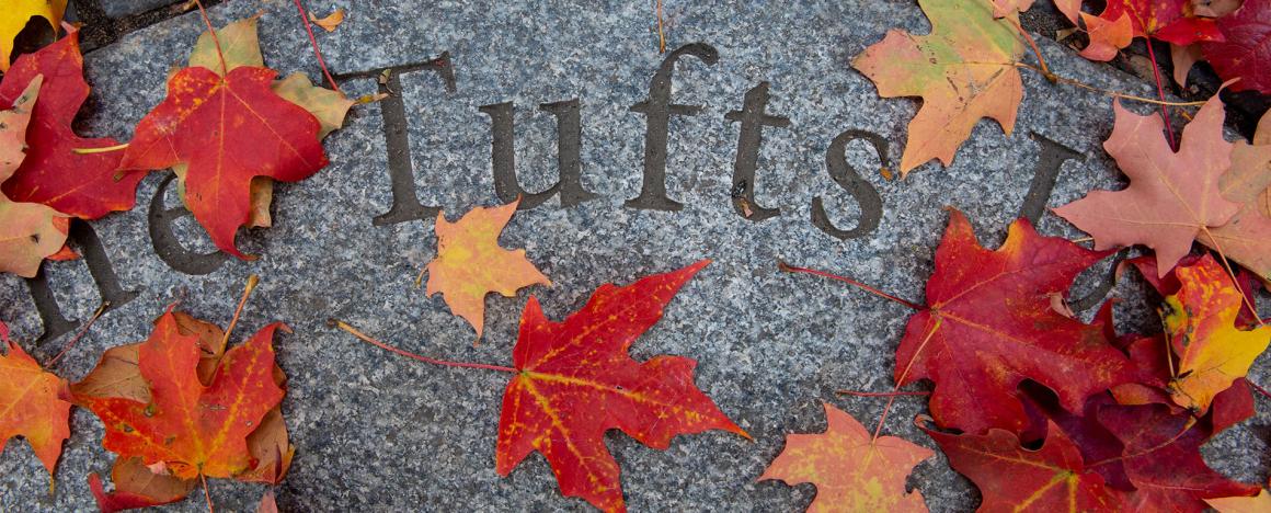 Tufts University sign, in the midst of colorful autumn leaves